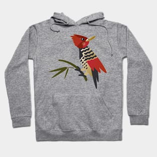 Cabecirrufo Woodpecker Hoodie